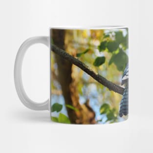 Blue Jay Perched In A Tree Staring Mug